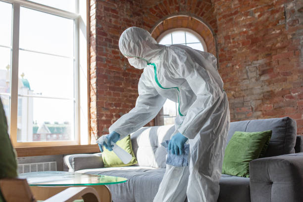 Professional Mold Inspection in Oak Hills, CA